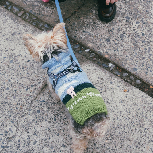 Chaleco campito perrito - NAO