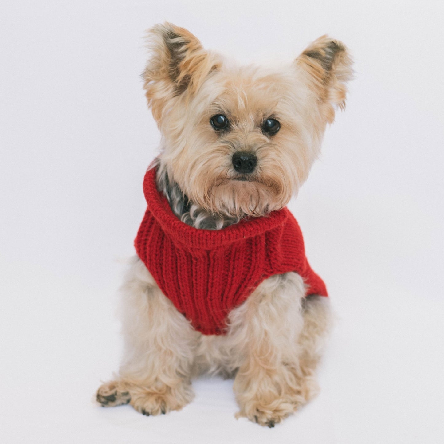 Chaleco delia perrito rojo italiano - Nao Knitwear