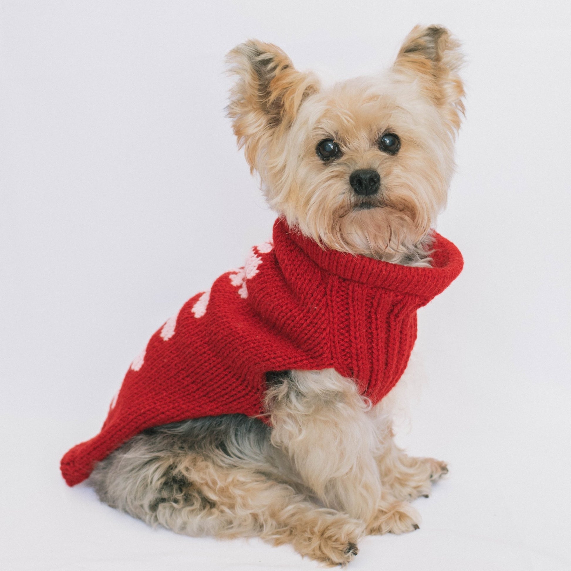 Chaleco delia perrito rojo italiano - Nao Knitwear